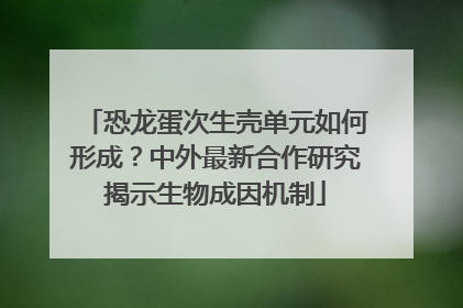 恐龙蛋次生壳单元如何形成？中外最新合作研究揭示生物成因机制