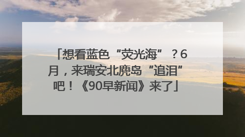 想看蓝色“荧光海”？6月，来瑞安北麂岛“追泪”吧！《90早新闻》来了