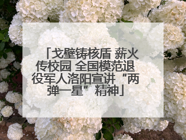 戈壁铸核盾 薪火传校园 全国模范退役军人洛阳宣讲“两弹一星”精神