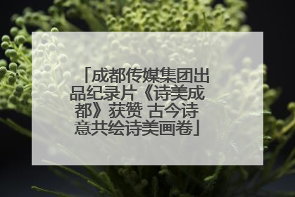 成都传媒集团出品纪录片《诗美成都》获赞 古今诗意共绘诗美画卷