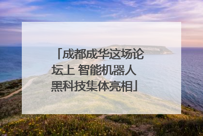 成都成华这场论坛上 智能机器人黑科技集体亮相