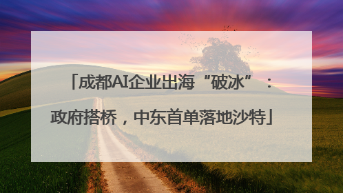 成都AI企业出海“破冰”：政府搭桥，中东首单落地沙特