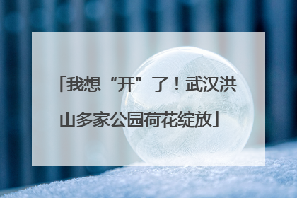 我想“开”了！武汉洪山多家公园荷花绽放