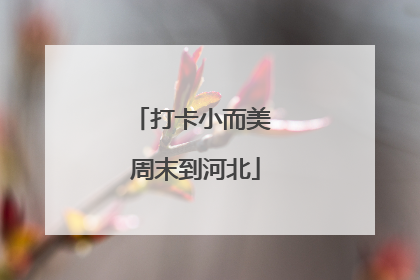 打卡小而美 周末到河北