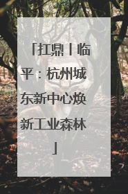 扛鼎丨临平：杭州城东新中心焕新工业森林