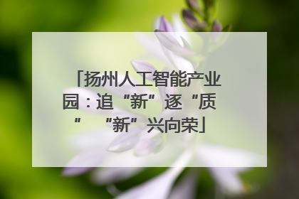 扬州人工智能产业园：追“新”逐“质” “新”兴向荣