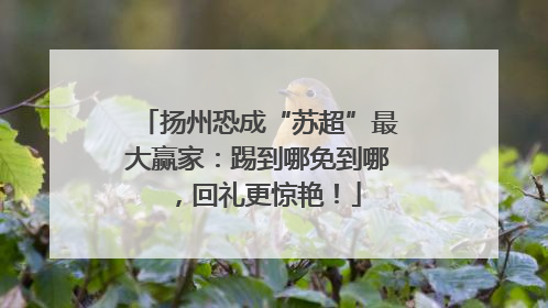 扬州恐成“苏超”最大赢家：踢到哪免到哪，回礼更惊艳！