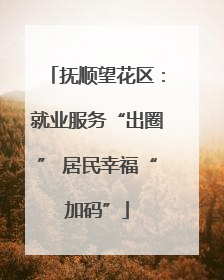 抚顺望花区：就业服务“出圈” 居民幸福“加码”