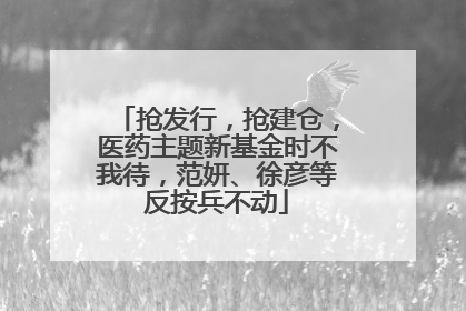 抢发行，抢建仓，医药主题新基金时不我待，范妍、徐彦等反按兵不动