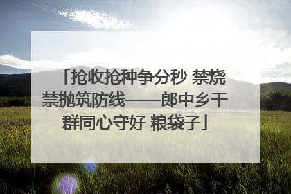 抢收抢种争分秒 禁烧禁抛筑防线——郎中乡干群同心守好 粮袋子