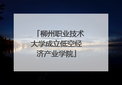 柳州职业技术大学成立低空经济产业学院