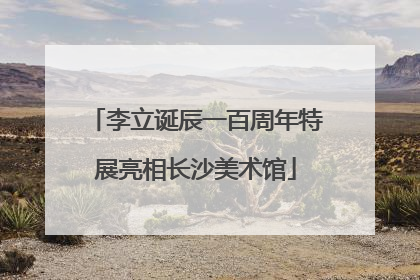 李立诞辰一百周年特展亮相长沙美术馆