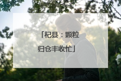 杞县：颗粒归仓丰收忙