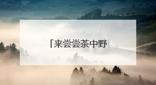 来尝尝茶中野味吧！庆元荒野茶推介会举行