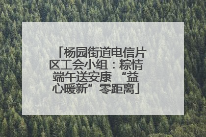 杨园街道电信片区工会小组：粽情端午送安康 “益心暖新”零距离