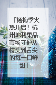 杨梅季火热开启！杭州地利果品市场守护从枝头到舌尖的每一口鲜甜