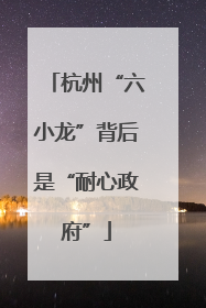 杭州“六小龙”背后是“耐心政府”