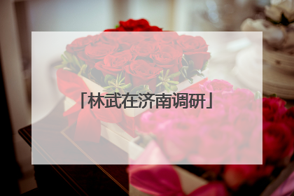 林武在济南调研