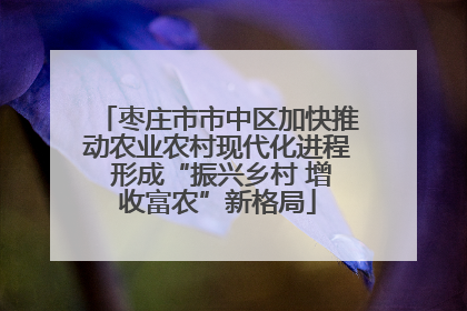 枣庄市市中区加快推动农业农村现代化进程 形成“振兴乡村 增收富农”新格局