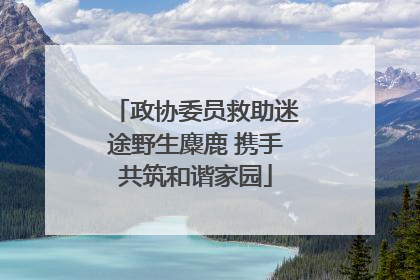 政协委员救助迷途野生麋鹿 携手共筑和谐家园