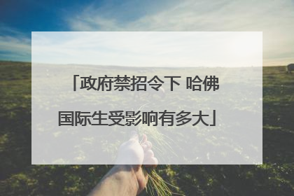 政府禁招令下 哈佛国际生受影响有多大