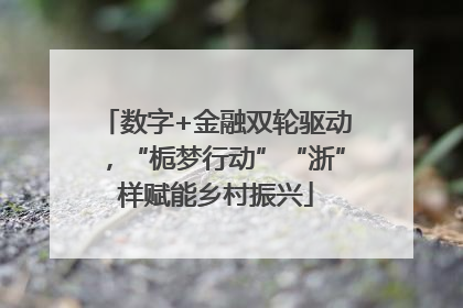 数字+金融双轮驱动，“栀梦行动”“浙”样赋能乡村振兴
