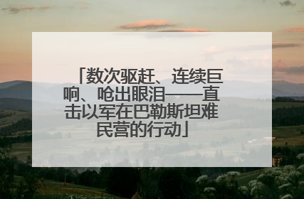 数次驱赶、连续巨响、呛出眼泪——直击以军在巴勒斯坦难民营的行动