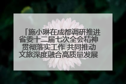 施小琳在成都调研推进省委十二届七次全会精神贯彻落实工作 共同推动文旅深度融合高质量发展 加快打造支柱产业民生产业幸福产业