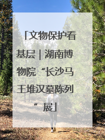 文物保护看基层｜湖南博物院“长沙马王堆汉墓陈列”展