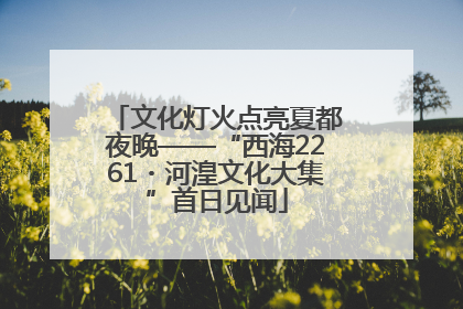 文化灯火点亮夏都夜晚——“西海2261・河湟文化大集”首日见闻