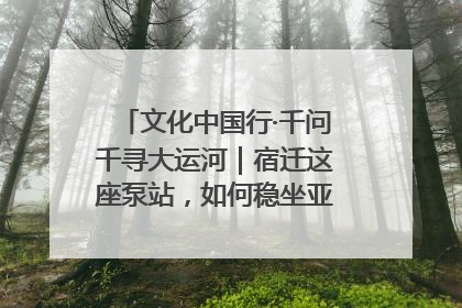 文化中国行·千问千寻大运河｜宿迁这座泵站，如何稳坐亚洲第一宝座？