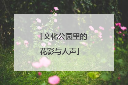 文化公园里的花影与人声