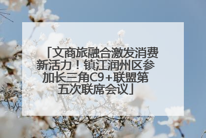 文商旅融合激发消费新活力！镇江润州区参加长三角C9+联盟第五次联席会议