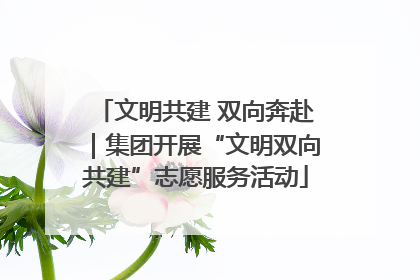 文明共建 双向奔赴｜集团开展“文明双向共建”志愿服务活动