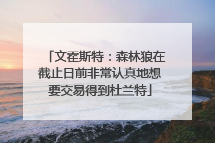 文霍斯特：森林狼在截止日前非常认真地想要交易得到杜兰特