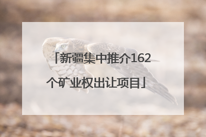 新疆集中推介162个矿业权出让项目