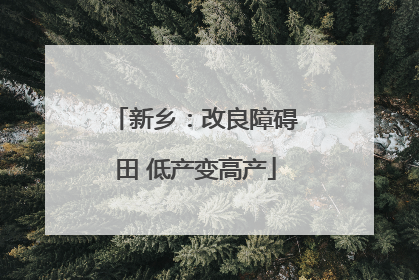 新乡：改良障碍田 低产变高产
