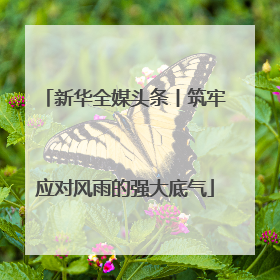 新华全媒头条丨筑牢应对风雨的强大底气