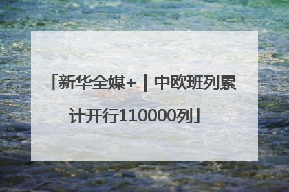 新华全媒+｜中欧班列累计开行110000列