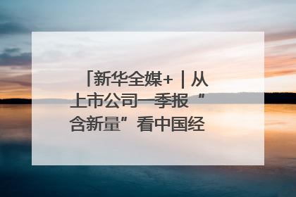 新华全媒+｜从上市公司一季报“含新量”看中国经济发展向“新”