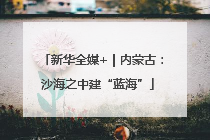 新华全媒+｜内蒙古：沙海之中建“蓝海”