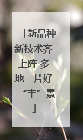 新品种新技术齐上阵 多地一片好“丰”景