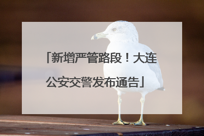 新增严管路段！大连公安交警发布通告