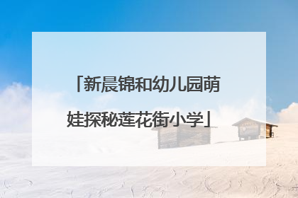 新晨锦和幼儿园萌娃探秘莲花街小学