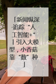 新闻纵深·追踪“人工智能+”丨引入大模型，小香菇靠“数”种