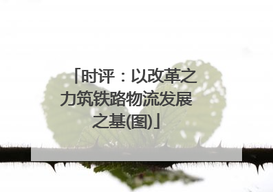 时评：以改革之力筑铁路物流发展之基(图)