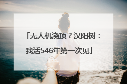 无人机浇顶？汉阳树：我活546年第一次见