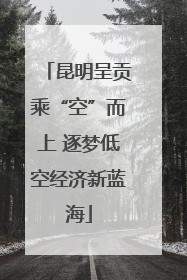 昆明呈贡乘“空”而上 逐梦低空经济新蓝海