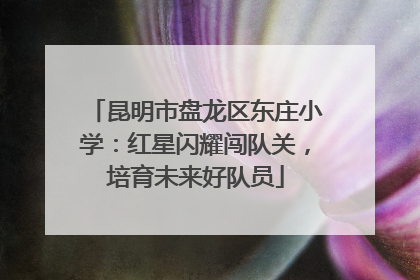 昆明市盘龙区东庄小学：红星闪耀闯队关，培育未来好队员