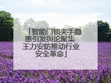 智能门锁夹手隐患引发舆论聚集 王力安防推动行业安全革命